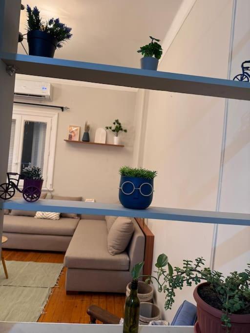 Cozy Center & Suitable For Digital Nomads Cairo