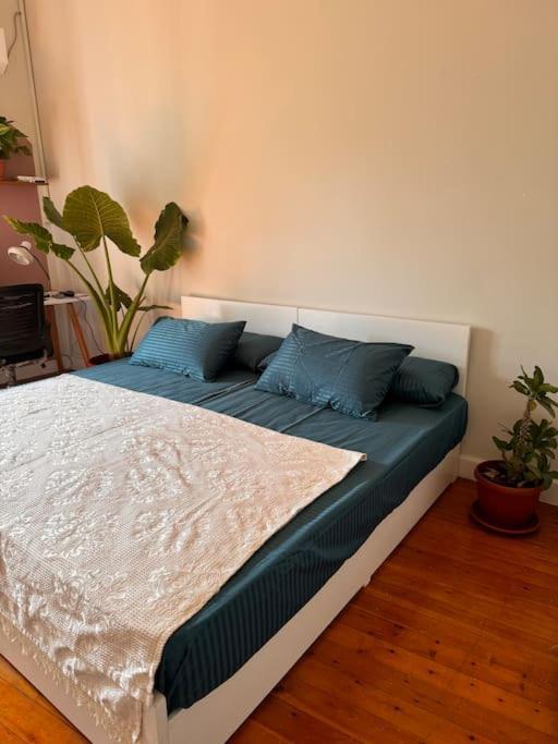Cozy Center & Suitable For Digital Nomads * Cairo