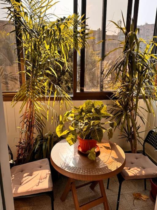 Cozy Center & Suitable For Digital Nomads Cairo