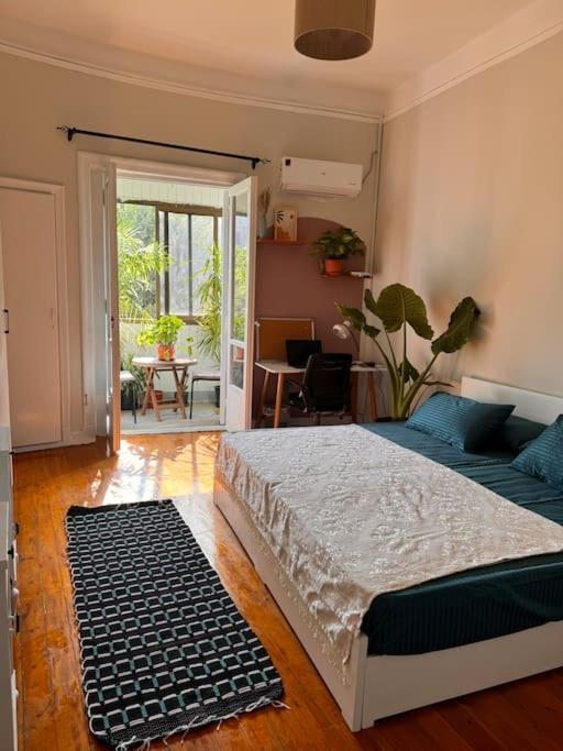 Cozy Center & Suitable For Digital Nomads