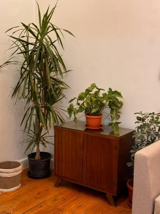 Cozy Center & Suitable For Digital Nomads Cairo