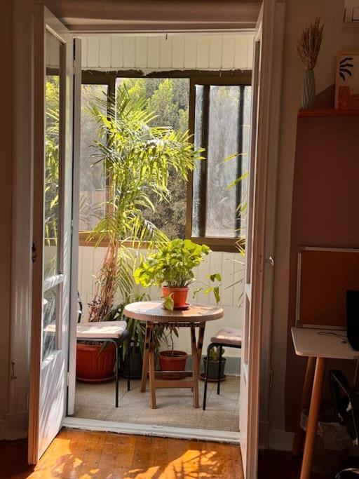 Cozy Center & Suitable For Digital Nomads Apartment