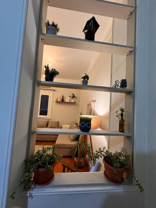 Cozy Center & Suitable For Digital Nomads Apartment