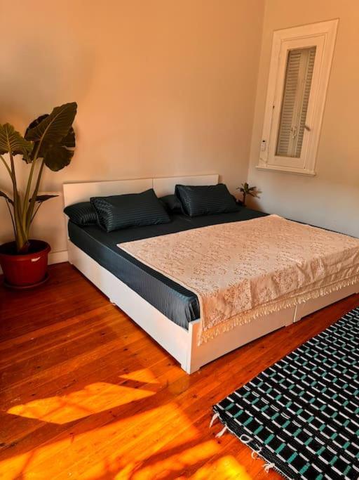 Cozy Center & Suitable For Digital Nomads Apartment