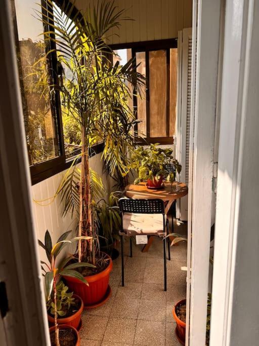 Apartment Cozy Center & Suitable For Digital Nomads